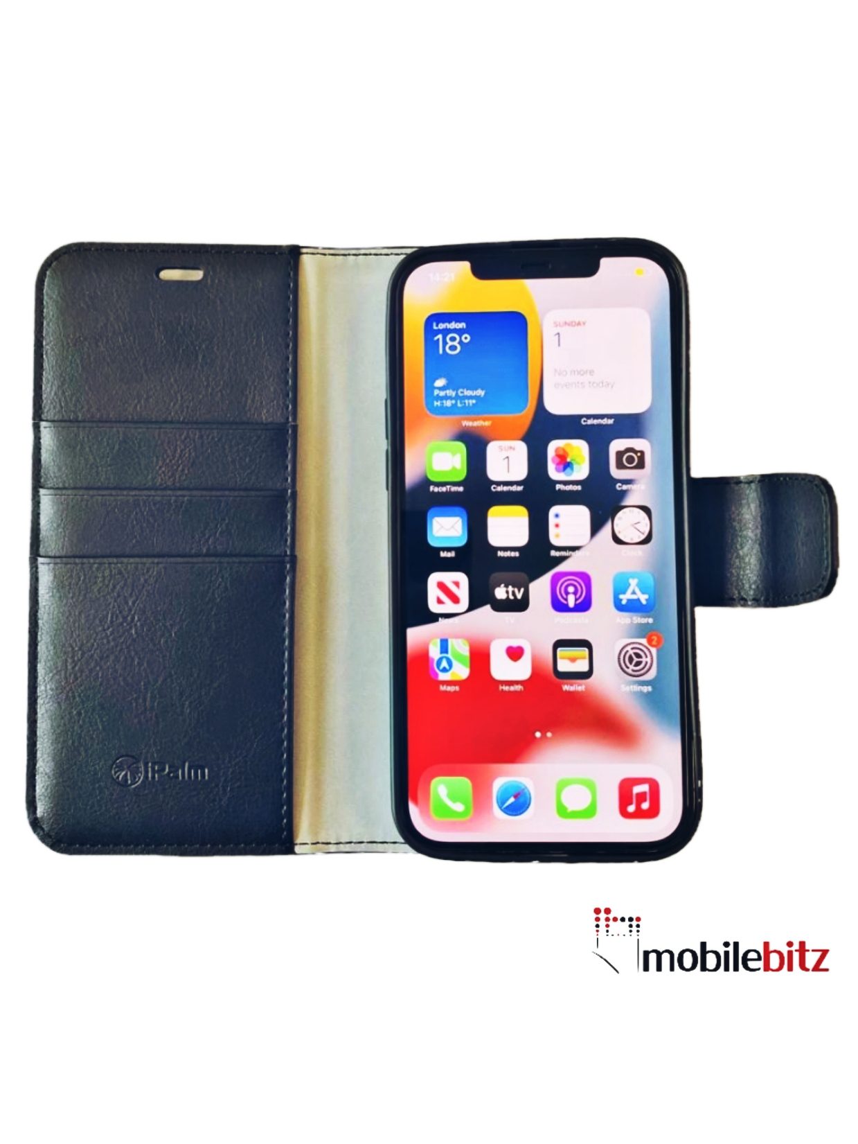 iPhone 13 Pro Max iPalm Passport Black